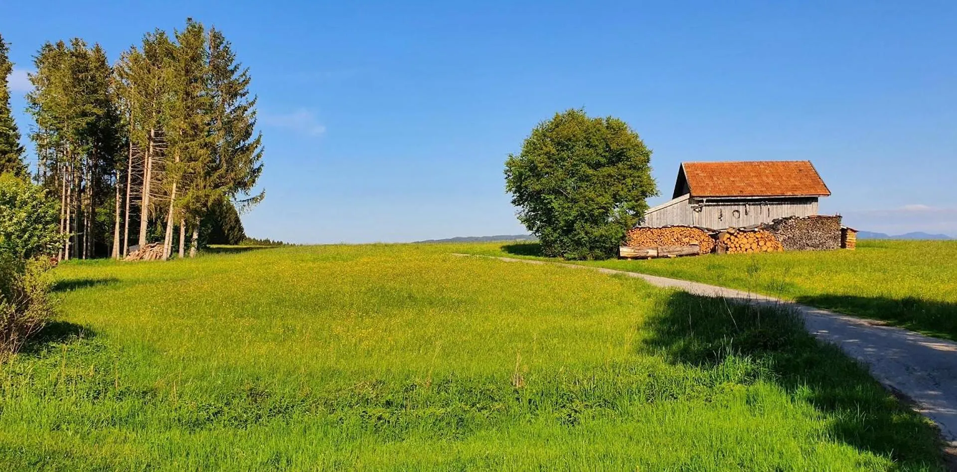 Holiday home Lechbruck Am See Feriendorf Hochbergle Haus 36